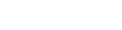 Budget Promotion Logo